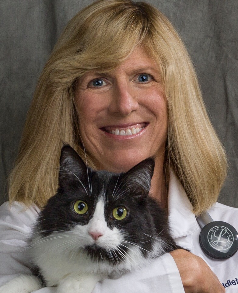 Dr. Ann Middleton of Cheshire Cat Clinic, the premier provider of
